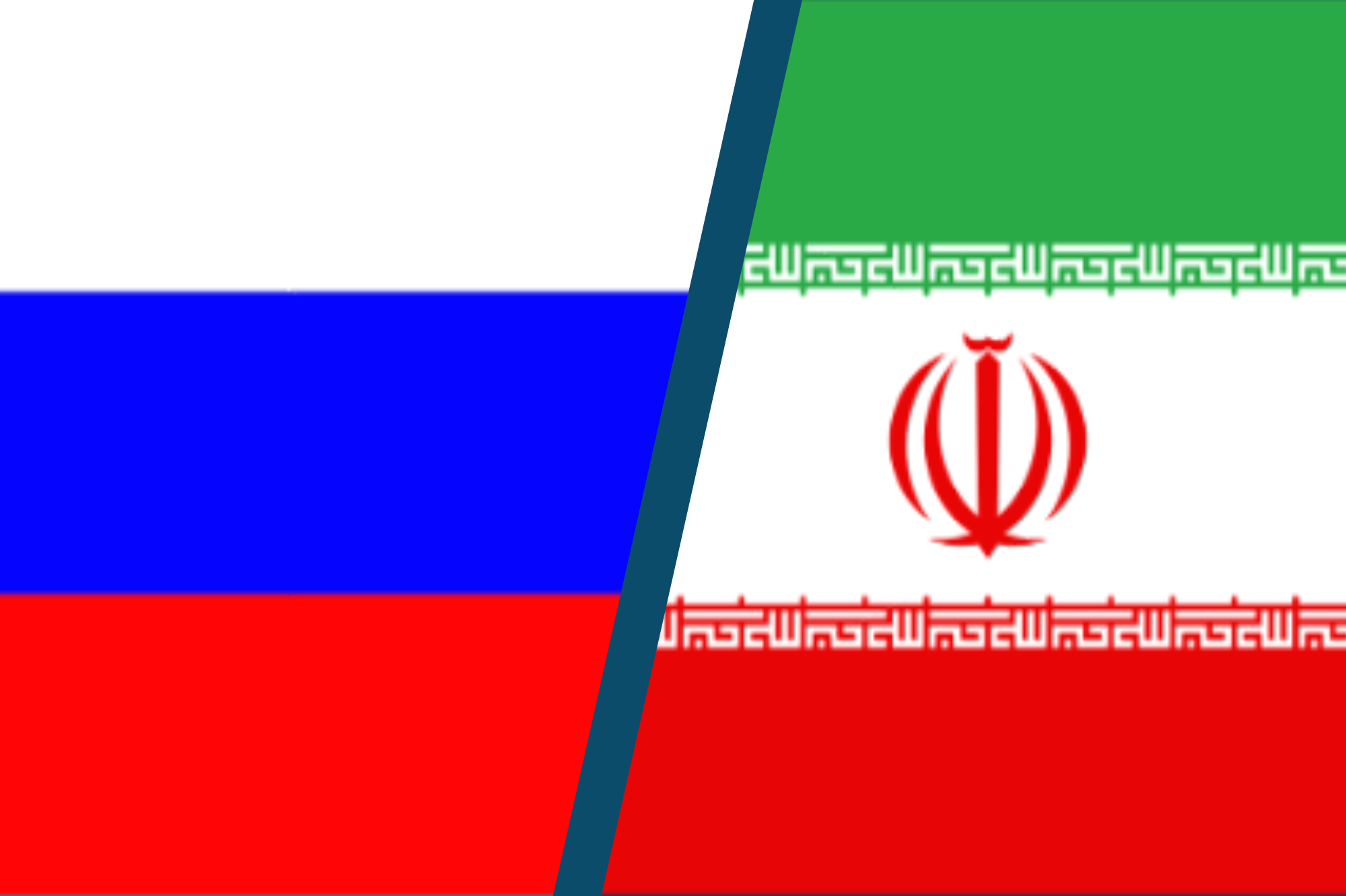 ELNET Deutschland E V Homepage