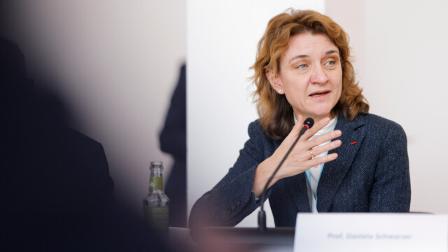 Professor Daniela Schwarzer